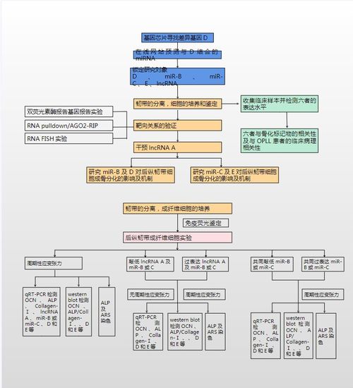 23個可編輯技術(shù)路線圖模板及繪制技巧詳解 聚焦國自然9大熱點與北京軟件技術(shù)開發(fā)實踐