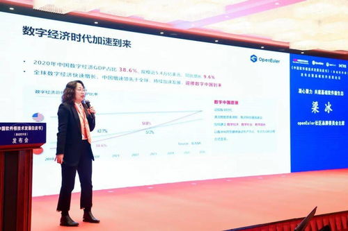中國基礎軟件根技術發(fā)展白皮書發(fā)布，北京軟件技術開發(fā)迎來新機遇